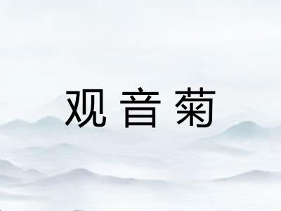 观音菊