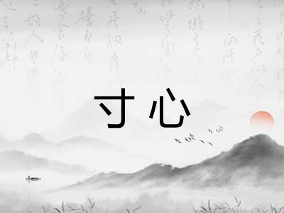 寸心