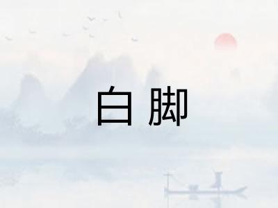 白脚