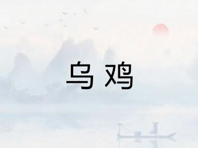 乌鸡