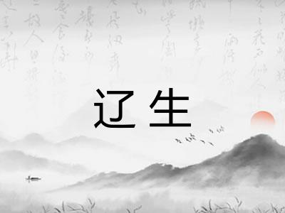 辽生