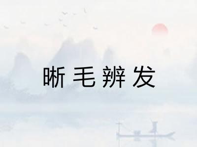 晰毛辨发