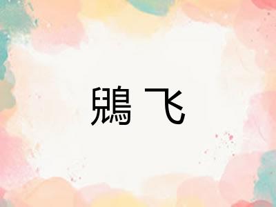 鶂飞