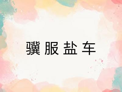 骥服盐车