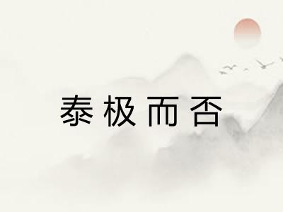 泰极而否
