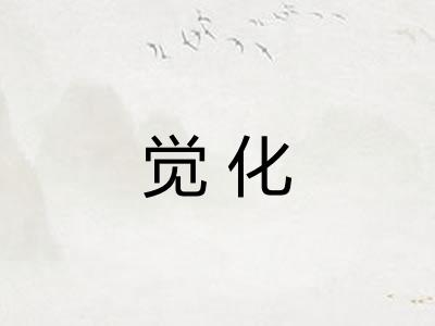 觉化