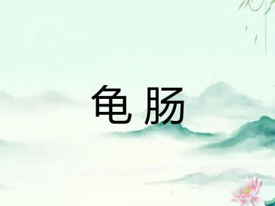 龟肠