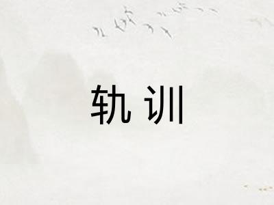 轨训