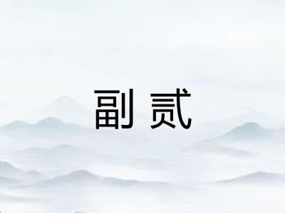 副贰