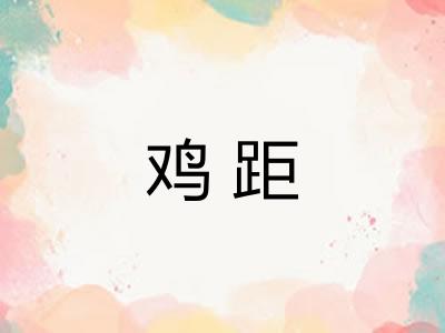 鸡距