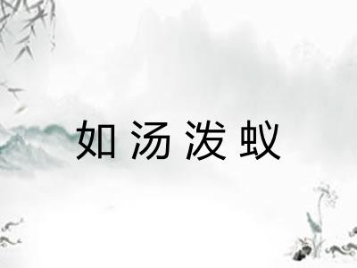 如汤泼蚁
