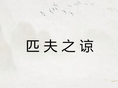 匹夫之谅