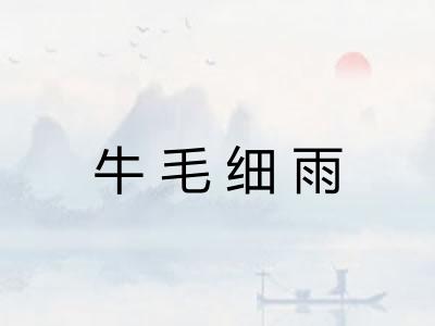牛毛细雨