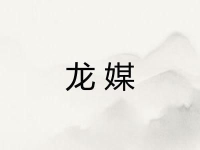 龙媒