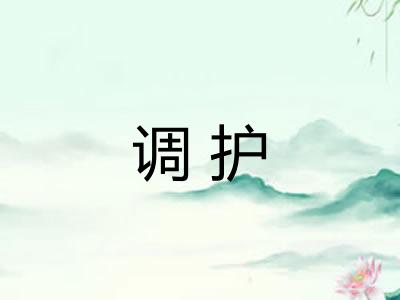 调护