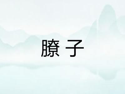 膫子