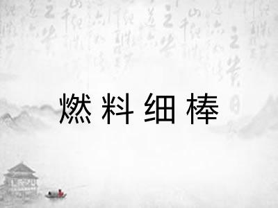 燃料细棒