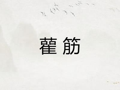 雚筋