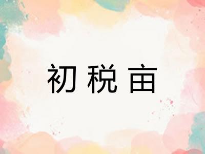 初税亩