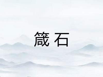 箴石