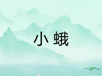 小蛾