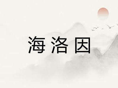 海洛因