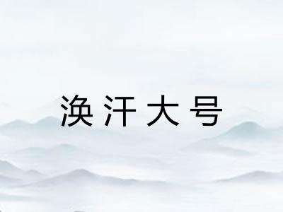 涣汗大号