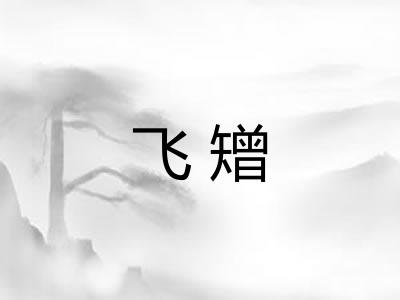 飞矰