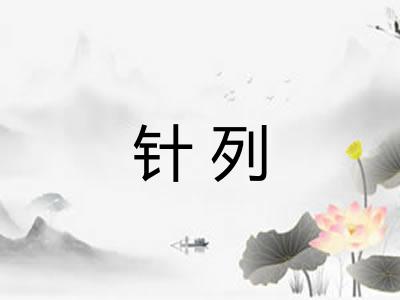 针列