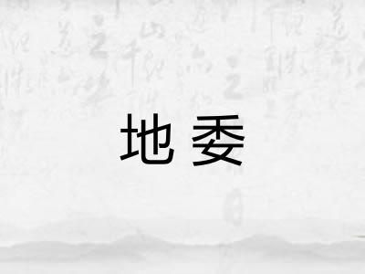 地委