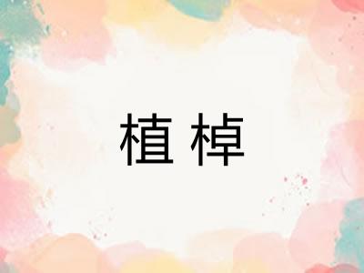 植棹
