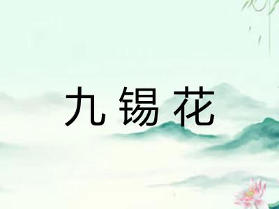 九锡花