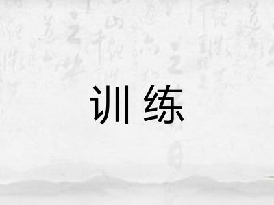 训练