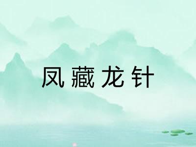凤藏龙针
