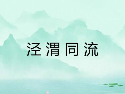 泾渭同流