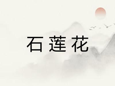 石莲花