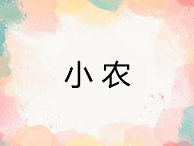 小农
