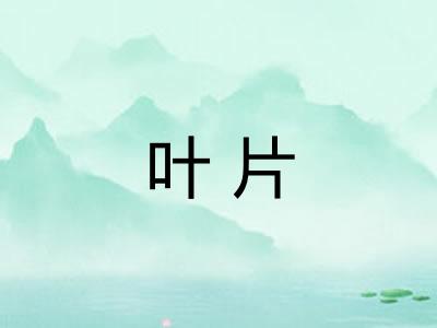 叶片