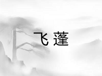 飞蓬