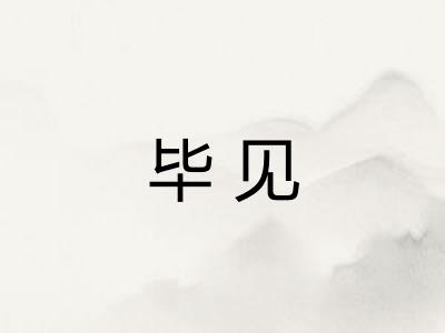 毕见