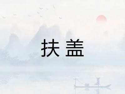 扶盖