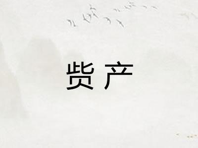 赀产