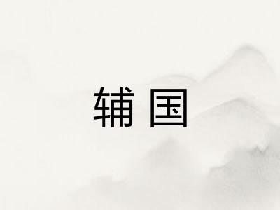 辅国