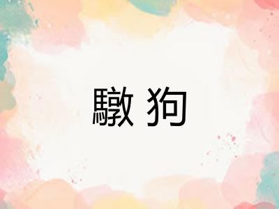 驐狗