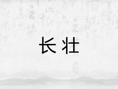 长壮