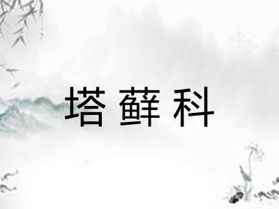 塔藓科