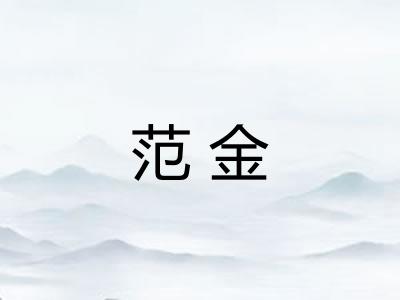 范金