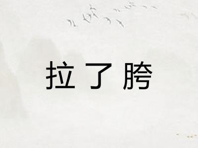 拉了胯