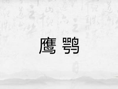 鹰鹗