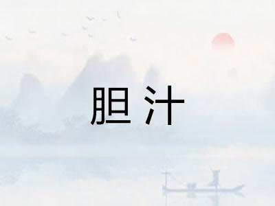 胆汁